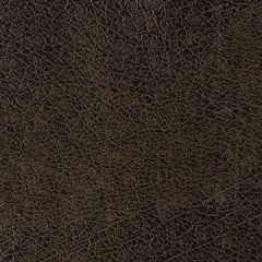 Kravet Contract Rebel Stallion 8 Sta-Kleen Collection Indoor Upholstery Fabric