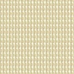 Kravet Rare Coin White Gold 33557-4 Modern Luxe Collection Indoor Upholstery Fabric