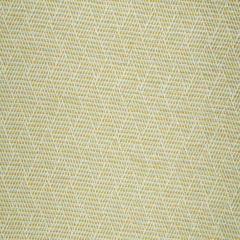 Robert Allen Marble Arch Sunray 240834 Botanical Color Collection Indoor Upholstery Fabric