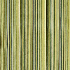 Robert Allen Chroma Stripe Lime 239409 DwellStudio Modern Archive Collection Indoor Upholstery Fabric