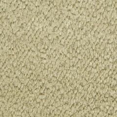 Beacon Hill Torri Solid Dark Flax 242352 Plush Chenille Solids Collection Indoor Upholstery Fabric