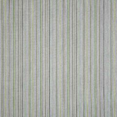 Sunbrella Refine Cactus 14017-0001 The Pure Collection Upholstery Fabric