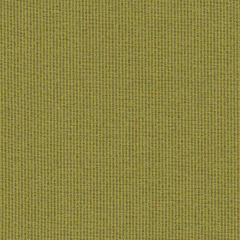 Mayer Fiji Loden 458-003 Tourist Collection Indoor Upholstery Fabric
