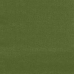 F Schumacher Gainsborough Velvet Fern 42869 Indoor Upholstery Fabric