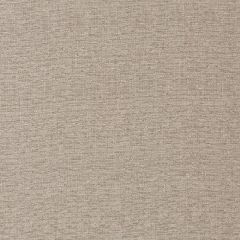 Robert Allen Easy Chenille Natural Performance Chenille Collection Indoor Upholstery Fabric