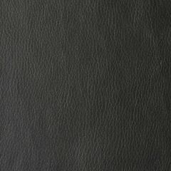 Kravet Valera Noir 8 Indoor Upholstery Fabric