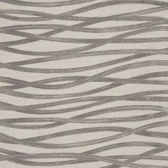 F Schumacher Brushstrokes Charcoal 177340 Au Naturel Collection Indoor Upholstery Fabric