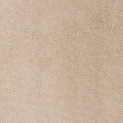 Kravet Contract Rebel Tumbleweed 116 Sta-Kleen Collection Indoor Upholstery Fabric