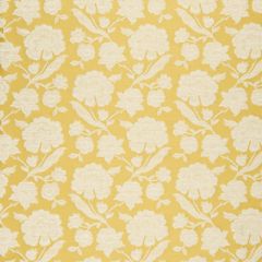 Clarke and Clarke Downham Citrus F0598-01 Ribble Valley Collection Drapery Fabric