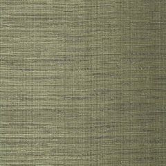 Robert Allen Nyanko-Thyme 243375 Decor Multi-Purpose Fabric