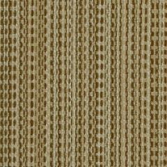 Patio Lane Cords Driftwood 28039 Sea Side Collection Multipurpose Fabric