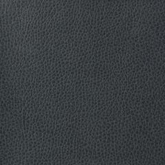 Kravet Matter Blue 5 Indoor Upholstery Fabric