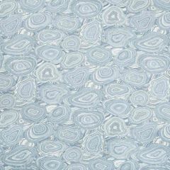 Kravet Contract 34761-5 Crypton Incase Collection Indoor Upholstery Fabric