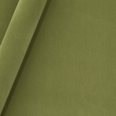Robert Allen Forever Velvet-Apple Green 245475 Decor Upholstery Fabric