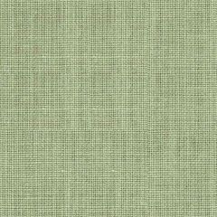 Kravet Basics Green 33767-15 Perfect Plains Collection Multipurpose Fabric