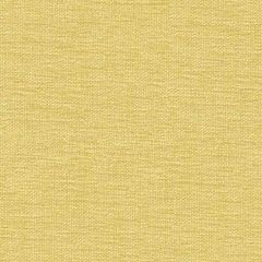 Kravet Contract 34961-114 Performance Kravetarmor Collection Indoor Upholstery Fabric