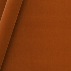 Beacon Hill Lady Elsie-Burnt Orange 241915 Decor Upholstery Fabric