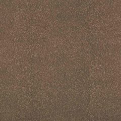 Kravet Contract Ames Elephant 621 Indoor Upholstery Fabric
