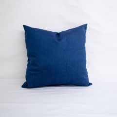 Indoor/Outdoor Sunbrella Spectrum Indigo - 20x20 Throw Pillow