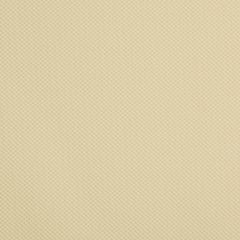 Kravet Contract Iron Man Sesame 1611 Faux Leather Extreme Performance Collection Upholstery Fabric