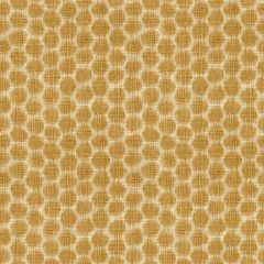 Kravet Design Yellow 33132-4 Echo Heirloom India Collection Indoor Upholstery Fabric