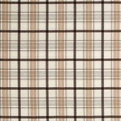 Robert Allen Plaid Affair Carob 259439 Nomadic Color Collection Indoor Upholstery Fabric