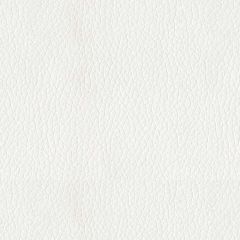 ABBEYSHEA Turner 3822 White Indoor Upholstery Fabric
