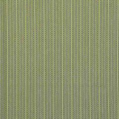 Robert Allen Full Stripe Rain 215255 Crypton Transitional Collection Indoor Upholstery Fabric
