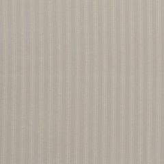 F Schumacher Zelda Stripe Platinum 71081 New Opulence Collection Indoor Upholstery Fabric