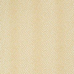 Kravet Contract 34748-16 Crypton Incase Collection Indoor Upholstery Fabric