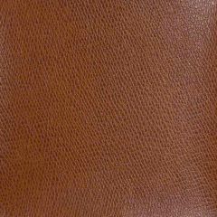 Kravet Ophidian Saddle 24 Indoor Upholstery Fabric