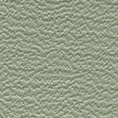 Weblon Coastline Plus Gull Grey CP-2717 Awning Fabric