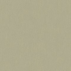 Kravet Broadmoor Grey 32642-1121 Multipurpose Fabric