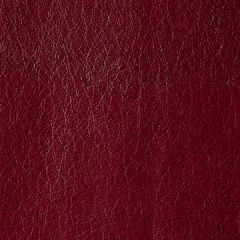 Kravet Contract Rebel Marooned 9 Sta-Kleen Collection Indoor Upholstery Fabric
