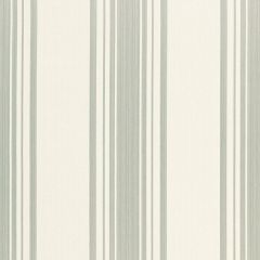 F Schumacher Carnegie Cotton Stripe Nickel 67020 Chroma Collection Indoor Upholstery Fabric