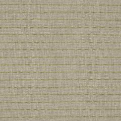 F Schumacher Manning Stripe  Lime 71813 Indoor/Outdoor Recolors Collection Upholstery Fabric