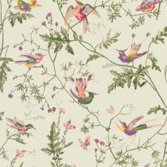Cole and Son Hummingbirds Green / Multi 100-14070 Archive Anthology Collection Wall Covering