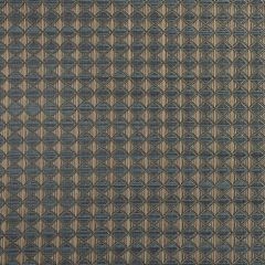 Phifertex Barque Rain LFP 54-inch Cane Wicker Collection Sling Upholstery Fabric