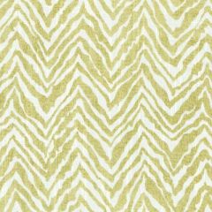 Duralee Grass 42499-597 Decor Fabric
