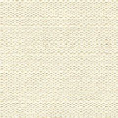 Kravet Basics White 31415-101 Guaranteed in Stock Indoor Upholstery Fabric