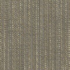 Perennials Stree-Yay! Cement 942-180 Kidding Around Collection Upholstery Fabric