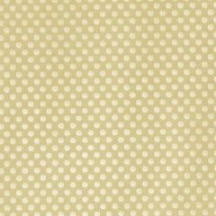 Duralee Lemon 36292-269 Decor Fabric