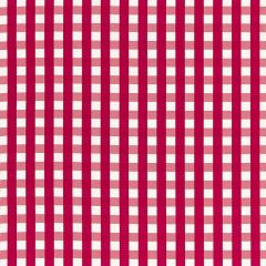 F Schumacher Bermuda Check Azalea 68062 Calypso Collection Indoor Upholstery Fabric