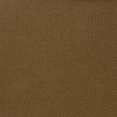 Kravet Matter Brown 6 Indoor Upholstery Fabric