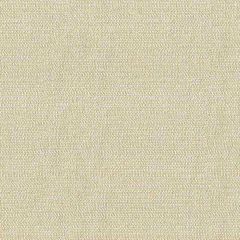 Kravet Design Tully Linen 34049-16 Curiosities Collection by Kate Spade Multipurpose Fabric