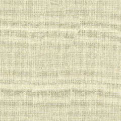 Kravet Basics Beige 3922-411 Drapery Fabric