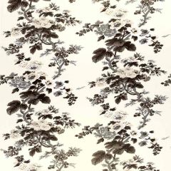 F. Schumacher Pyne Hollyhock Print Charcoal 174450 Classics Collection Upholstery Fabric