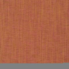 Robert Allen Contract Befitting-Sienna 247802 Fabric