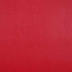 Nassimi Seaquest Lighthouse Red PSQ-013ADF Marine Upholstery Fabric
