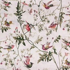 Cole and Son Hummingbirds Cotton Print Cream F62-1001 by David Easton Multipurpose Fabric